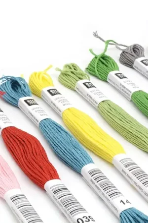 Offre Exclusive Set de 10 couleurs de fil à broder