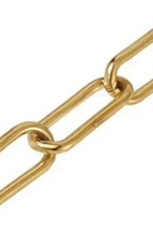 Chaine trombone dorée 17x7 mm-acier inoxydable 304x 20 cm Acheter En Ligne