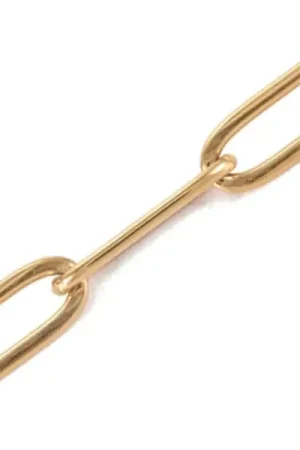 Chaine trombone dorée 12x4 mm-acier inoxydable 304x 20 cm Usine Directe