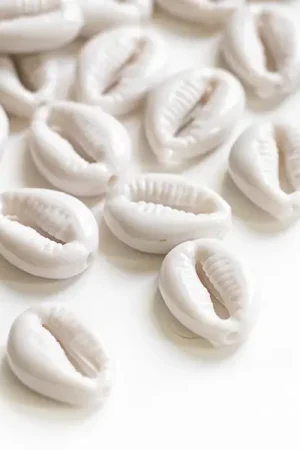 Commander Maintenant 50 perles coquillages cauri en plastique - blanc