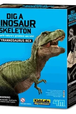Expédition Rapide Kit DAM - Tyrannosaure Rex 22 x 17 cm