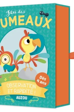 Jeu Des Jumeaux - Observation Et Rapidite ! Nouvelle Collection