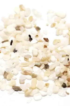 50 grammes de fragments de coquillages pour Jesmonite - 2-3 mm Retour Gratuit