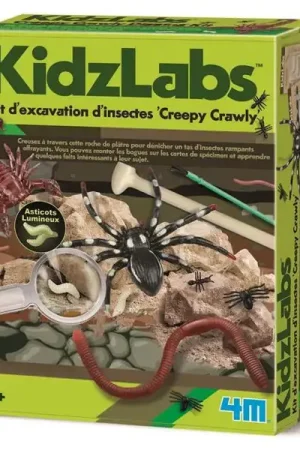 Kit DAM - Déterre tes insectes - Creepy Crawly Bon Marché