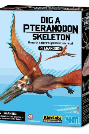 Nouvelle Collection Kit DAM - Déterre ton dinosaure - Pteranodon