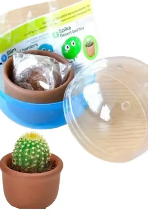 Populaire Kit Green capsule pour faire pousser un mini Cactus