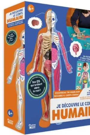 Seulement Aujourd'hui Je découvre le corps Humain - Auzou lab'