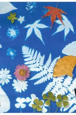 Produit De Marque Cyanotype 12 papiers créatifs - Djeco