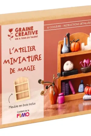 Coffret Fimo Miniatures Magie - Graine Créative Haute Qualité
