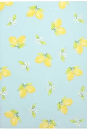 Haute Qualité Carnet A5 citron papeterie japonaise