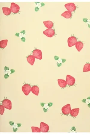 Satisfait Ou Remboursé Carnet A5 fraise papeterie japonaise