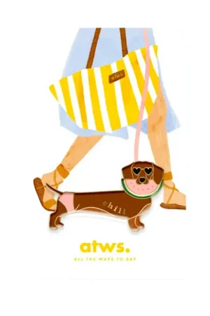 Usine Directe Pin's Chill Doggy Teckel - ATWS