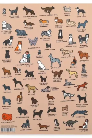 Acheter Direct Carnets A5 Dictionnaire des Chiens - Zero per Zero