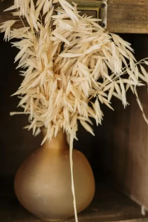 Vase en verre Assia Camel Meilleure Vente