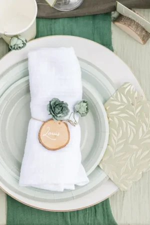 6 Assiettes Carton Vert de Gris Vert Sauge Offre Exclusive