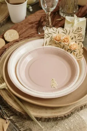 Prix Promo 6 Assiettes Carton bicolore Crème et Camel 23cm