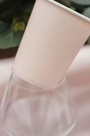 Affaire À Saisir Lot de 6 gobelets carton bicolore rose poudre