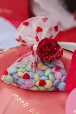 Meilleure Vente 4 Pochons cœurs Organza Blanc et Rouge 8x10cm