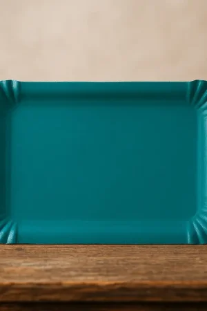 Plateau en carton Bleu Canard 24 x 33 cm x 5 pièces Prix Bas
