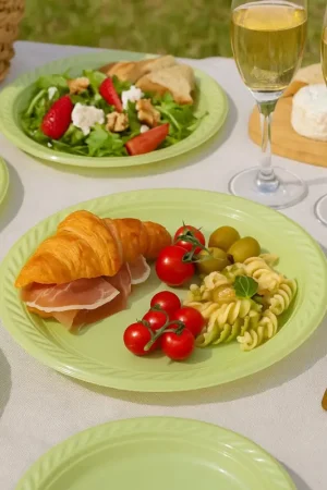 20 assiettes plastique Vert sauge 22cm Prix Promo