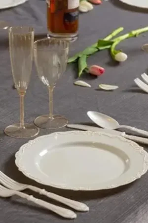 Quantité Limitée Lot de 40 Assiettes en plastique Gourmet LuXe Ecru