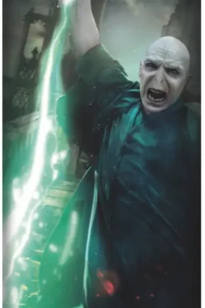 Promotion Saisonnière Décoration de Porte Voldemort™ – Harry Potter™