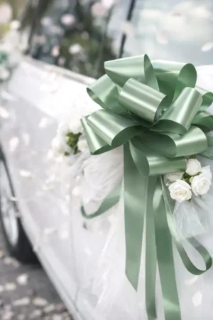 Noeud automatique Vert Sauge x 4 pièces Prix Choc