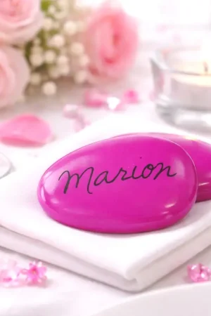 Soldes Galet Marque place Fuchsia x 12 pièces