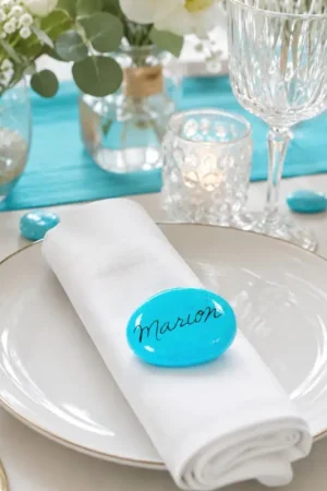 Affaire À Saisir Galet Marque place Turquoise x 12 pièces