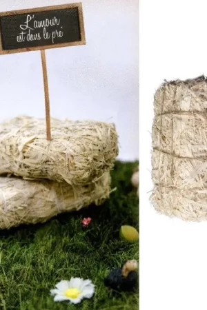 Petite botte de paille déco Expédié Aujourd'hui