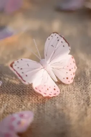 10 Papillons mariage degradés Rose Jusqu'à Épuisement Des Stocks