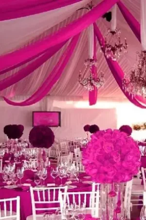 Paiement Sécurisé Tenture Mariage 100 mètres Fuchsia