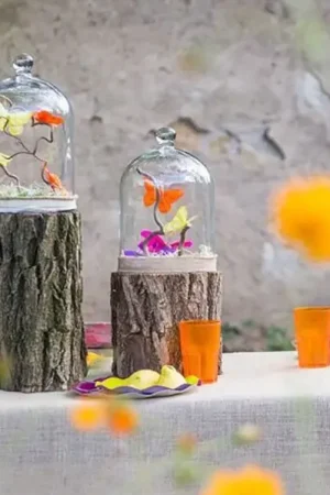 Offre Spéciale Centre de table Tronc d'arbre naturel