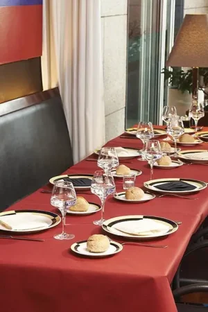 Nouvel Arrivage Nappe spunbond Bordeaux non tissé en rouleau 20m
