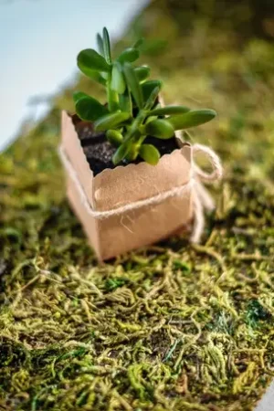 Chemin de table mousse sur jute 20cm Dernier Modèle