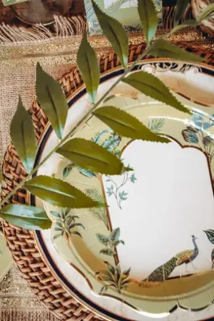 Assiette en carton theme Tropicale Peacock x 8 pièces Commande En Gros