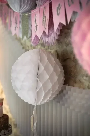Boule alveolée Tassel Blanche 30cm Expédié Aujourd'hui
