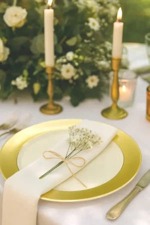 Assiette plastique Daytona Or x 6 pièces Meilleur Choix