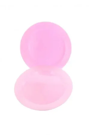 Prix Réduit Petite assiette plastique ronde réutilisable Rose x 6 pièces
