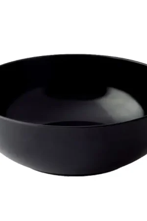 Haute Qualité Grand saladier en plastique Noir 27cm