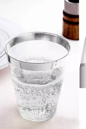 Offre Limitée Verre en plastique cristal liseré argent x 10 pièces