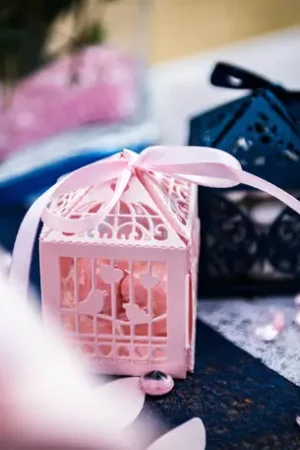 20 Contenants dragees cage a oiseau rose poudre Vente Flash