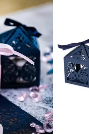 Achat Immédiat 20 Contenants dragees cage a papillon Bleu marine