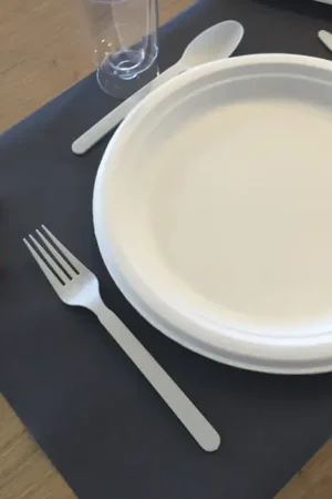 Assiette ronde Blanche canne a sucre 23cm x 25pièces Vente Flash