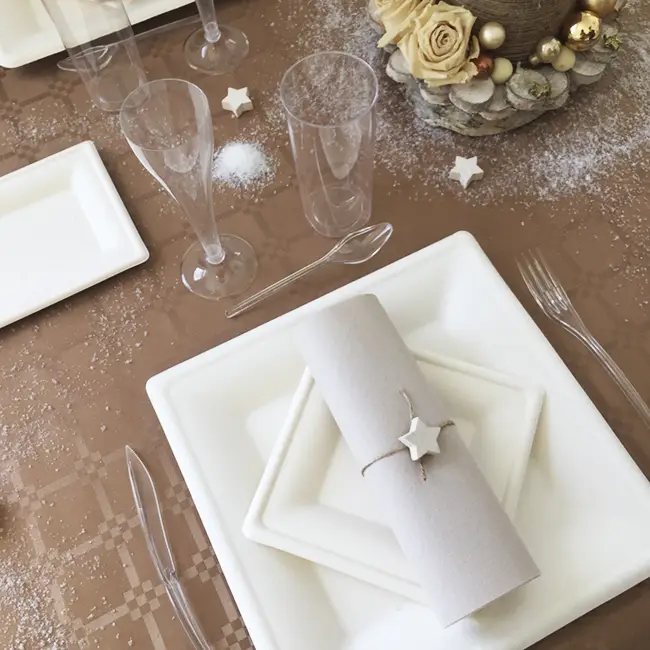 Meilleur Prix Grande Assiette carrée blanche en fibre de canne a sucre 26cm x 10 pièces