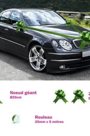 Kit de décoration voiture Vegetal Solde