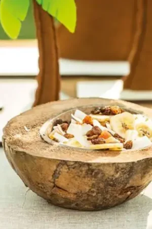 Demie noix de coco pas chere Seulement Aujourd'hui