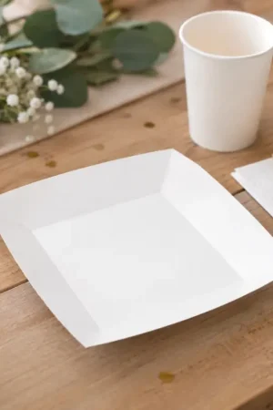 Prix Bas Assiette carrée en carton Blanche 23cm x 10 pièces