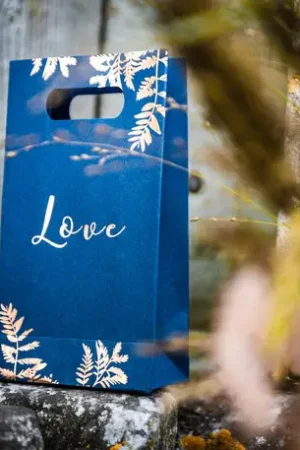 Vente Directe Sachet a bonbon Fougere marine x 6 pièces