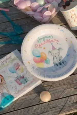 Bon Plan Assiette en carton Zoo party x 10 pièces
